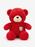 Cute Plush Teddy Bear Soft Toy