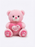 The Ultimate Collection of Heartfelt Teddy Bears and Roses