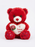 The Ultimate Collection of Heartfelt Teddy Bears and Roses